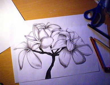 Цветок нарисованный карандашом